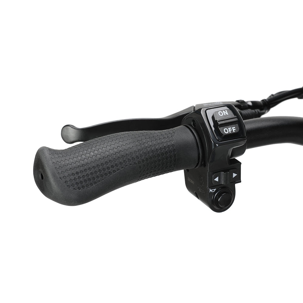 ausom-leopard-electric-scooter-2024