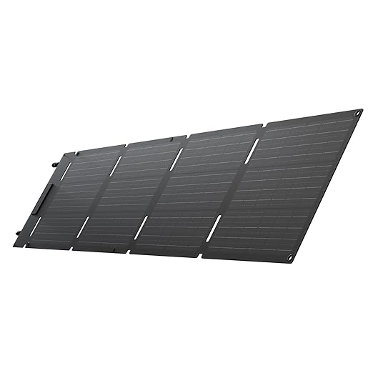 ECOFLOW 60W Portable Solar Panels - 2025