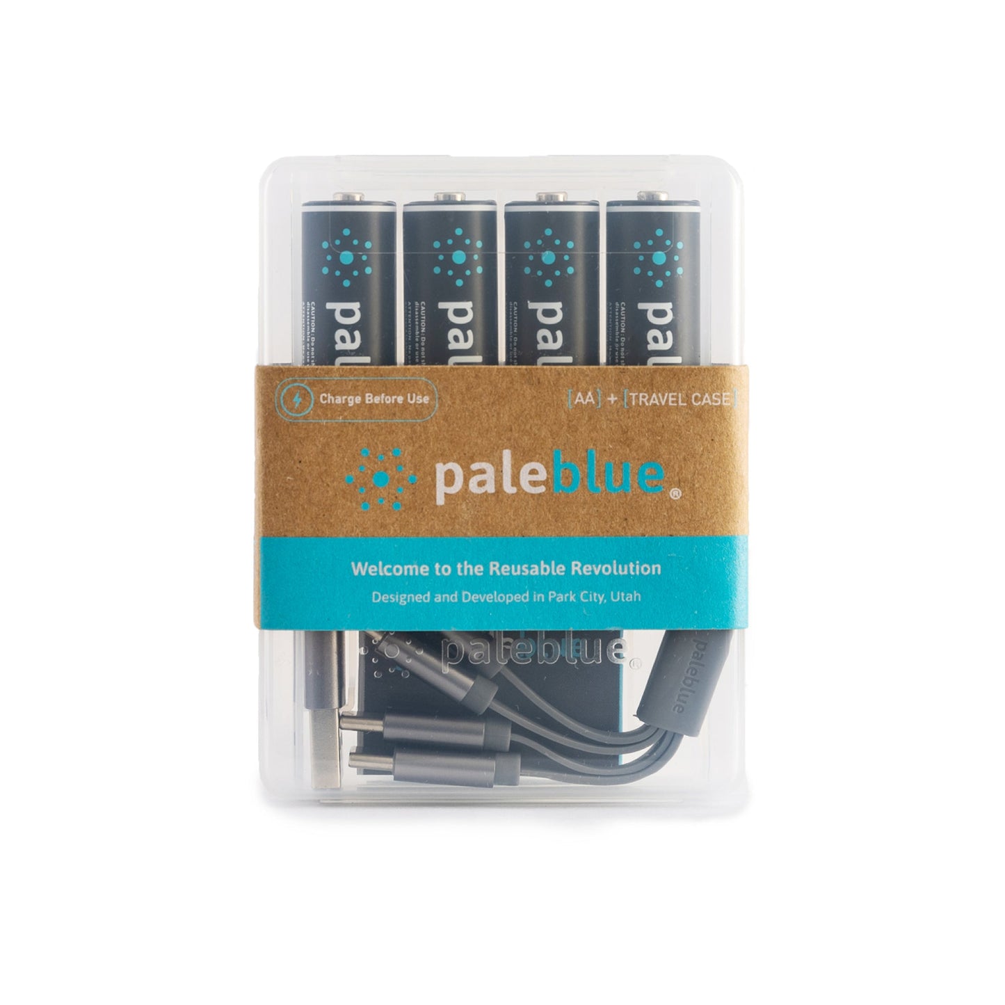 PaleBlue AA USB-C Rechargeable Batteries - 2025