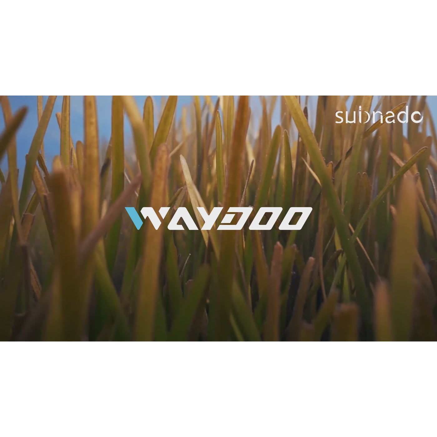 waydoo-subnado-underwater-scooter-2024